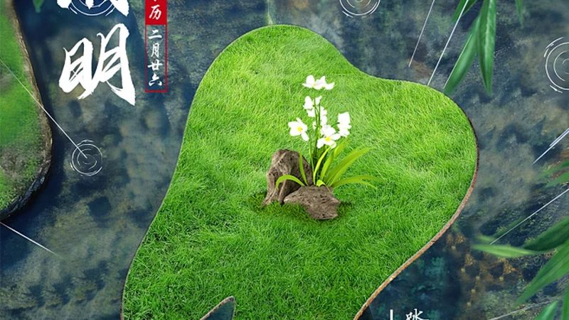 单颗种植牙，如何挑选合适的种植体型号？**